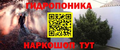 ПСИЛОЦИБИНОВЫЕ ГРИБЫ Северобайкальск
