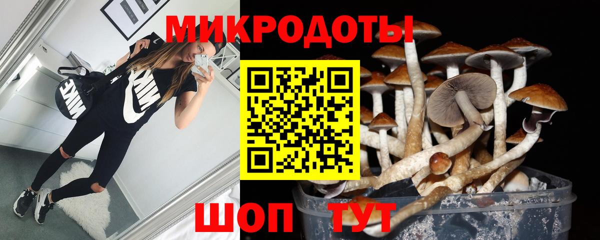 Галлюциногенные грибы Magic Shrooms Батайск